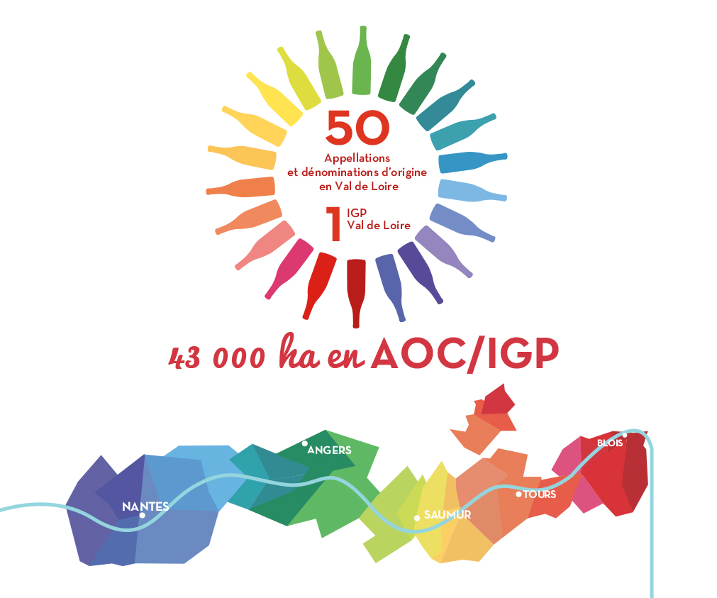 AOC et IGP en Val de Loire infographie AOC et IGP en Val de Loire