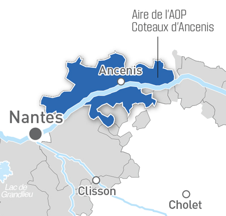 Carte Coteaux d'Ancenis