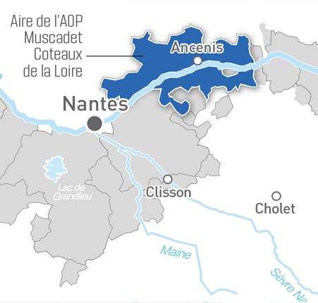 Carte Muscadet Coteaux de la Loire